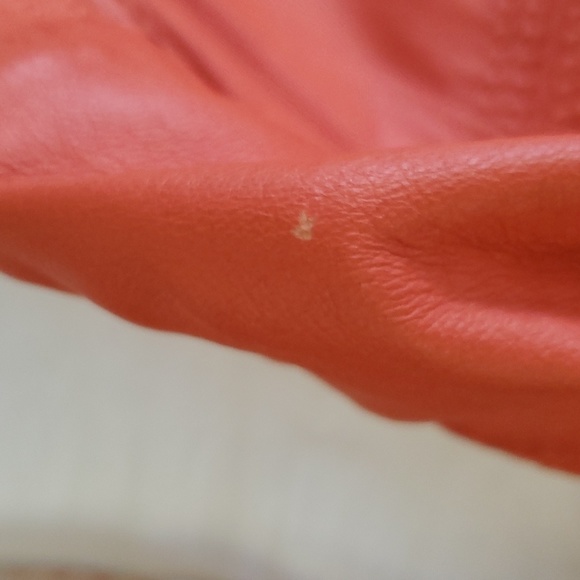 Bernardo Leather Moto Jacket - Picture 14 of 15